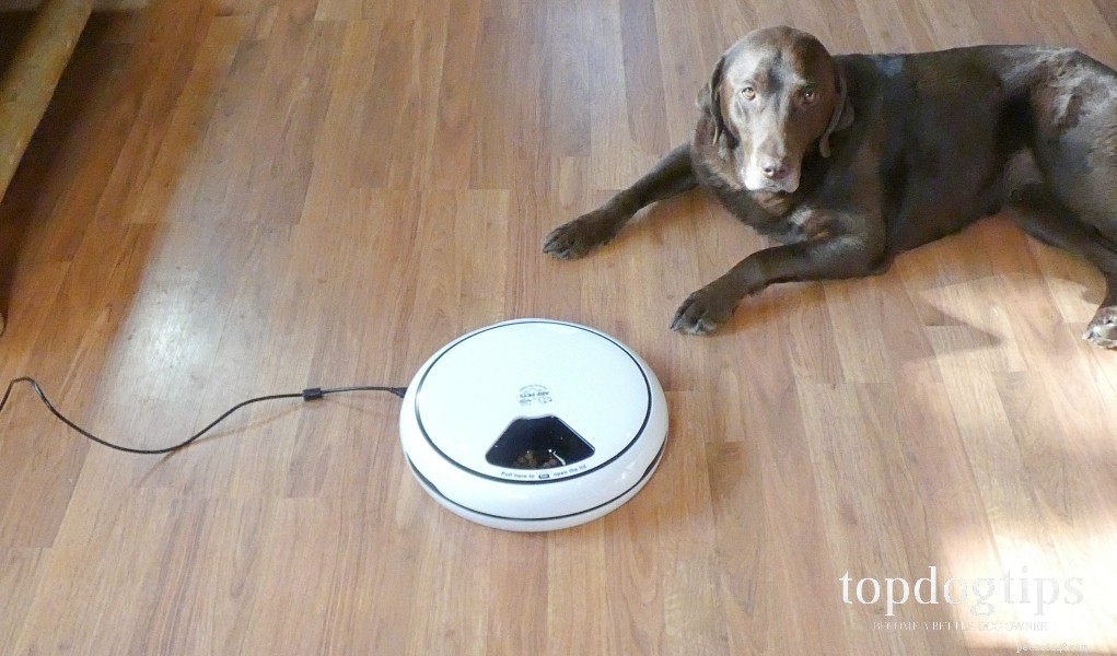 Recension:Arf Pets Automatic Feeder for Pets