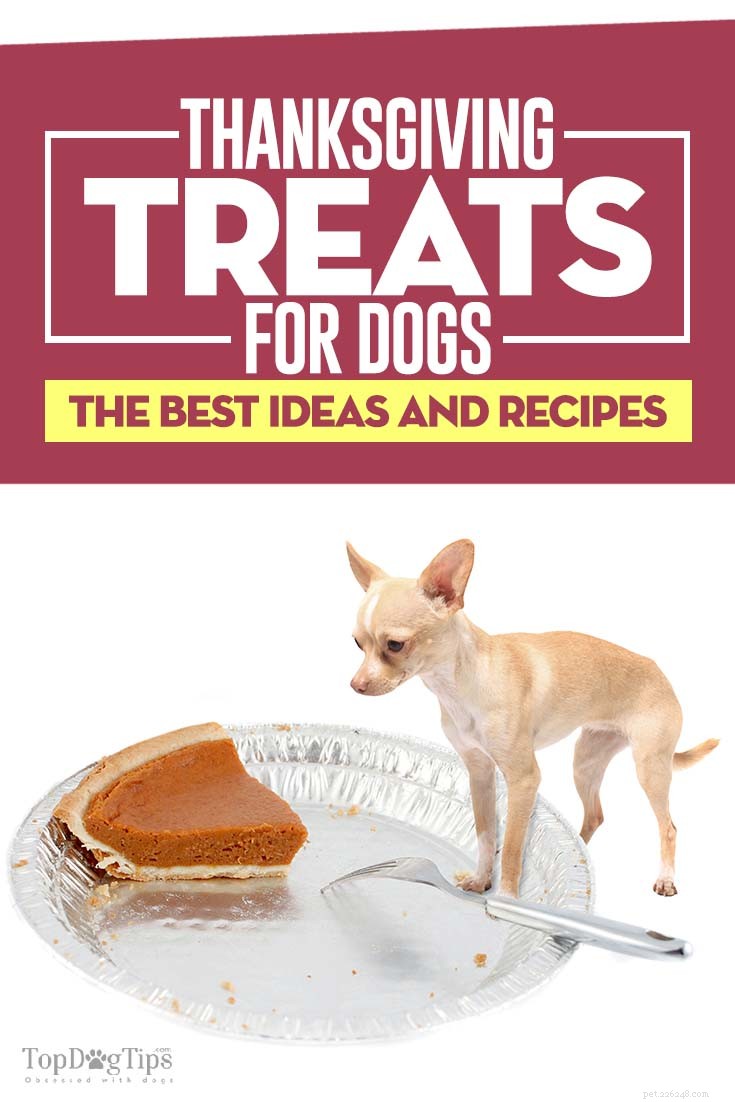 De 10 bästa Thanksgiving-godsakerna för hundar