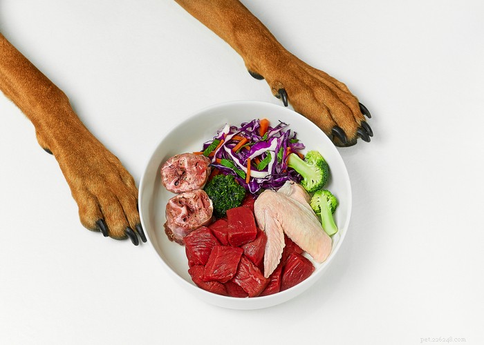 집에서 만든 강아지 사료 조리법:수의사 승인