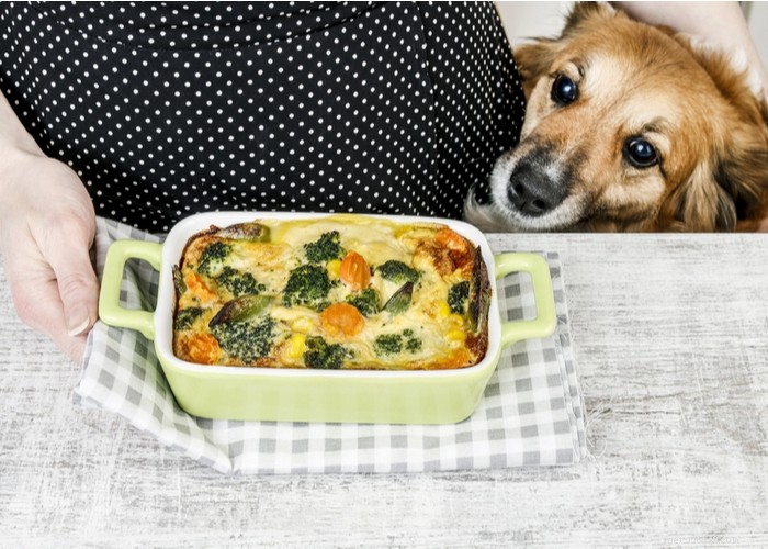 自家製子犬の食品レシピ：獣医承認 