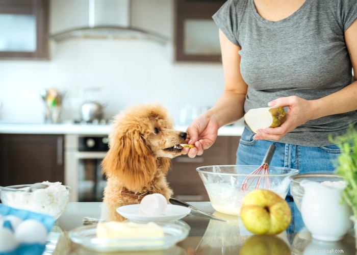 Zelfgemaakte recepten voor puppyvoer:goedgekeurd door dierenartsen