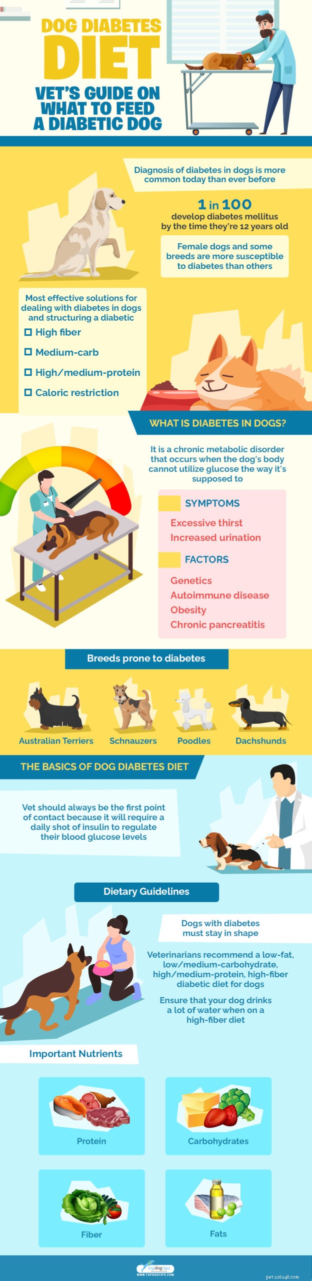 Dog Diabetes Diet：Vet’s Guide on What to Feed a Diabetic Dog