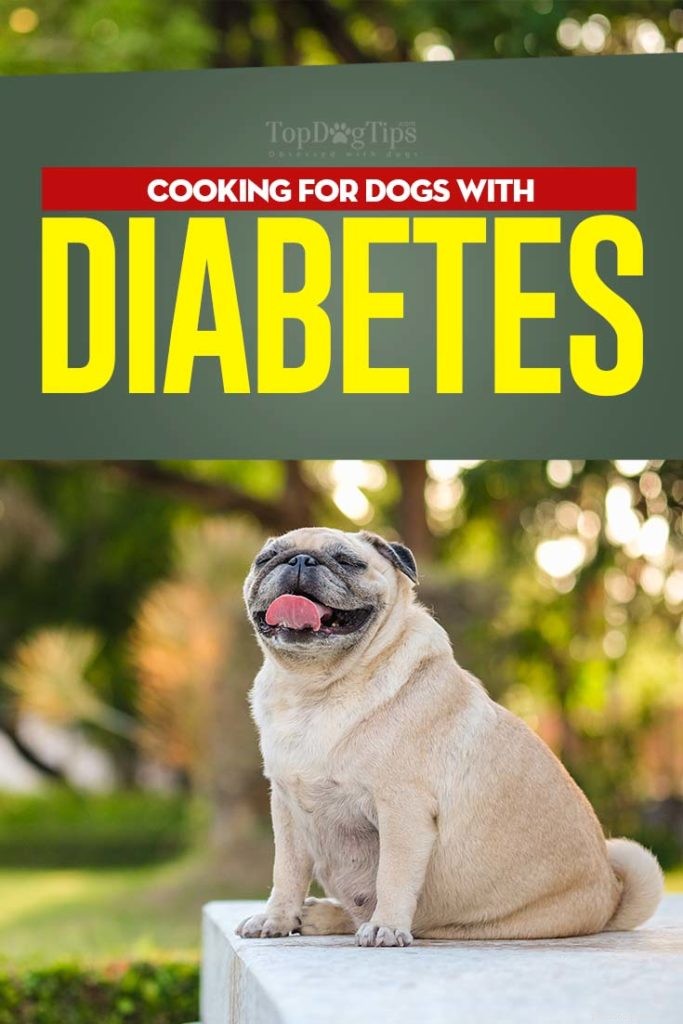 Dieta para diabetes para cães:guia do veterinário sobre o que alimentar um cão diabético