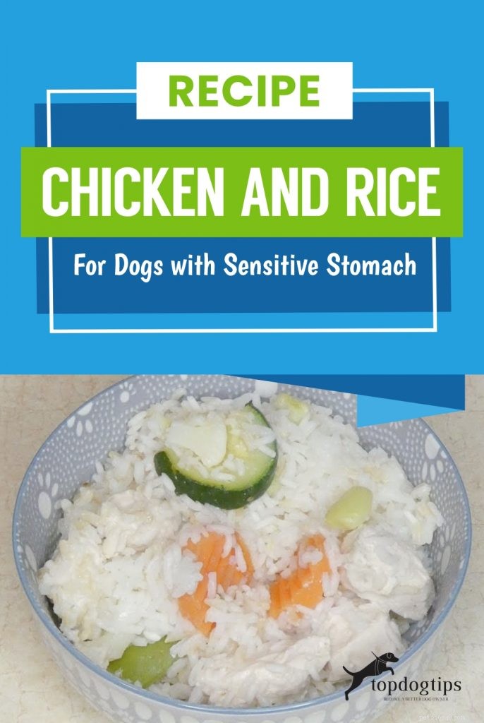 Kip en rijstrecept voor honden met een gevoelige maag