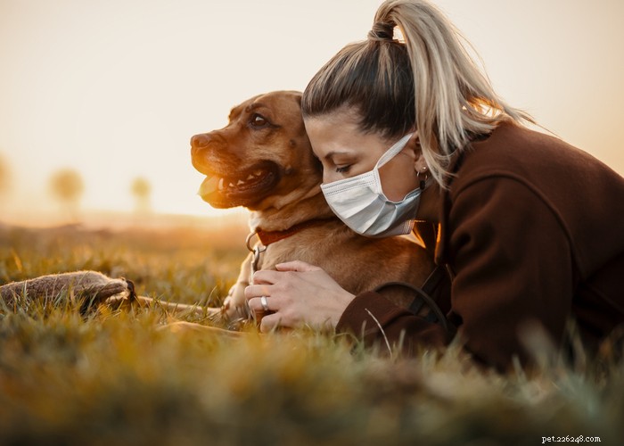 Микотоксины в корме для собак – насколько это может быть опасно?