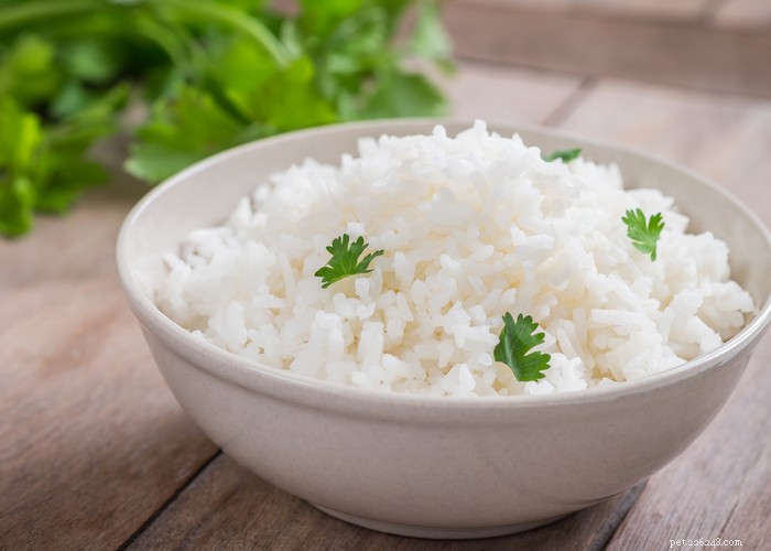 Det bästa riset att ge din hund:Är det hälsosamt?