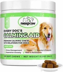12の最高の犬の不安の薬：犬のための店頭および心を落ち着かせるサプリメント 