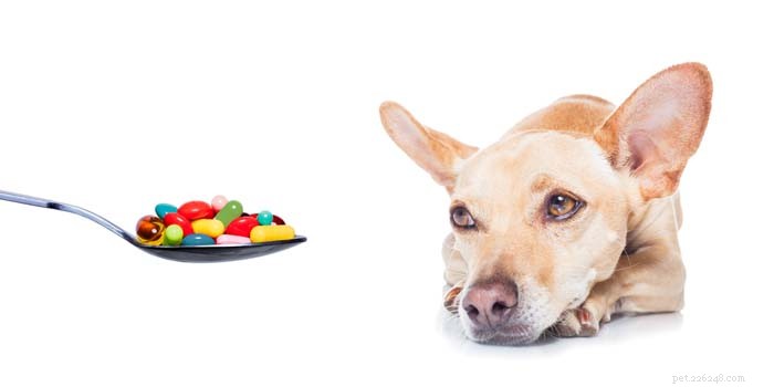 Hur får du din hund att ta piller?