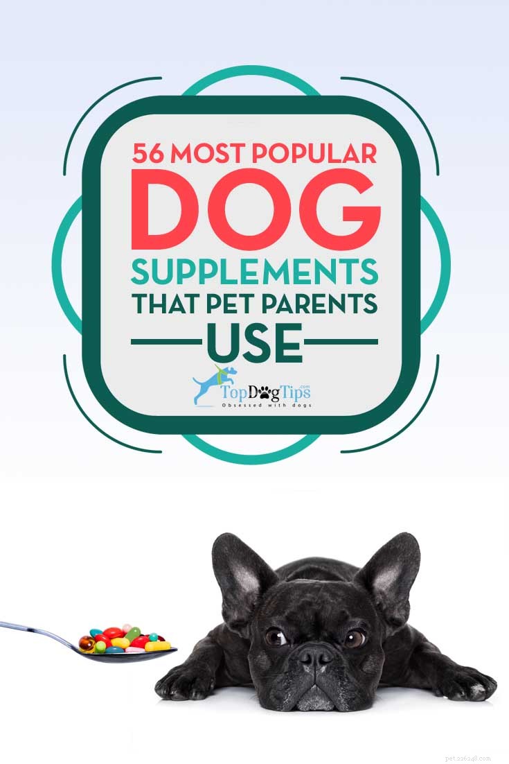 56 suplementos para cães mais populares