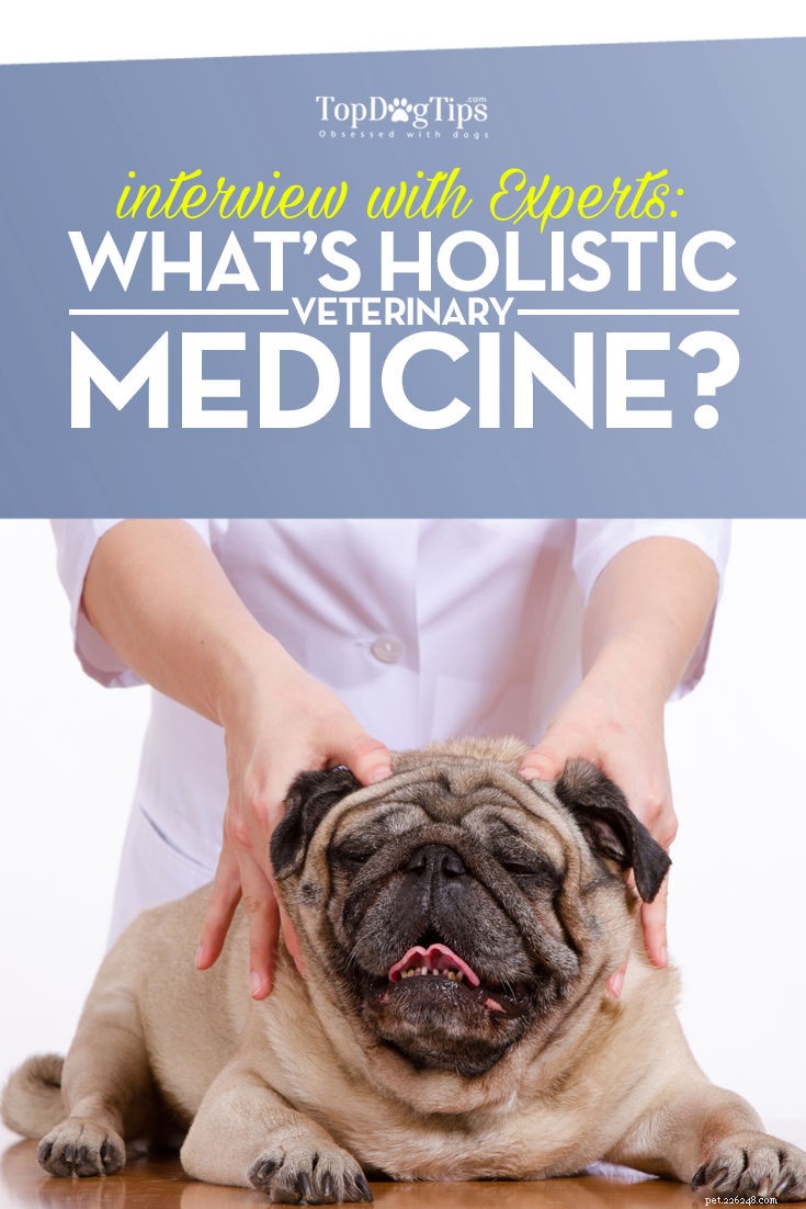 Interview met deskundigen:wat is holistische diergeneeskunde voor honden?