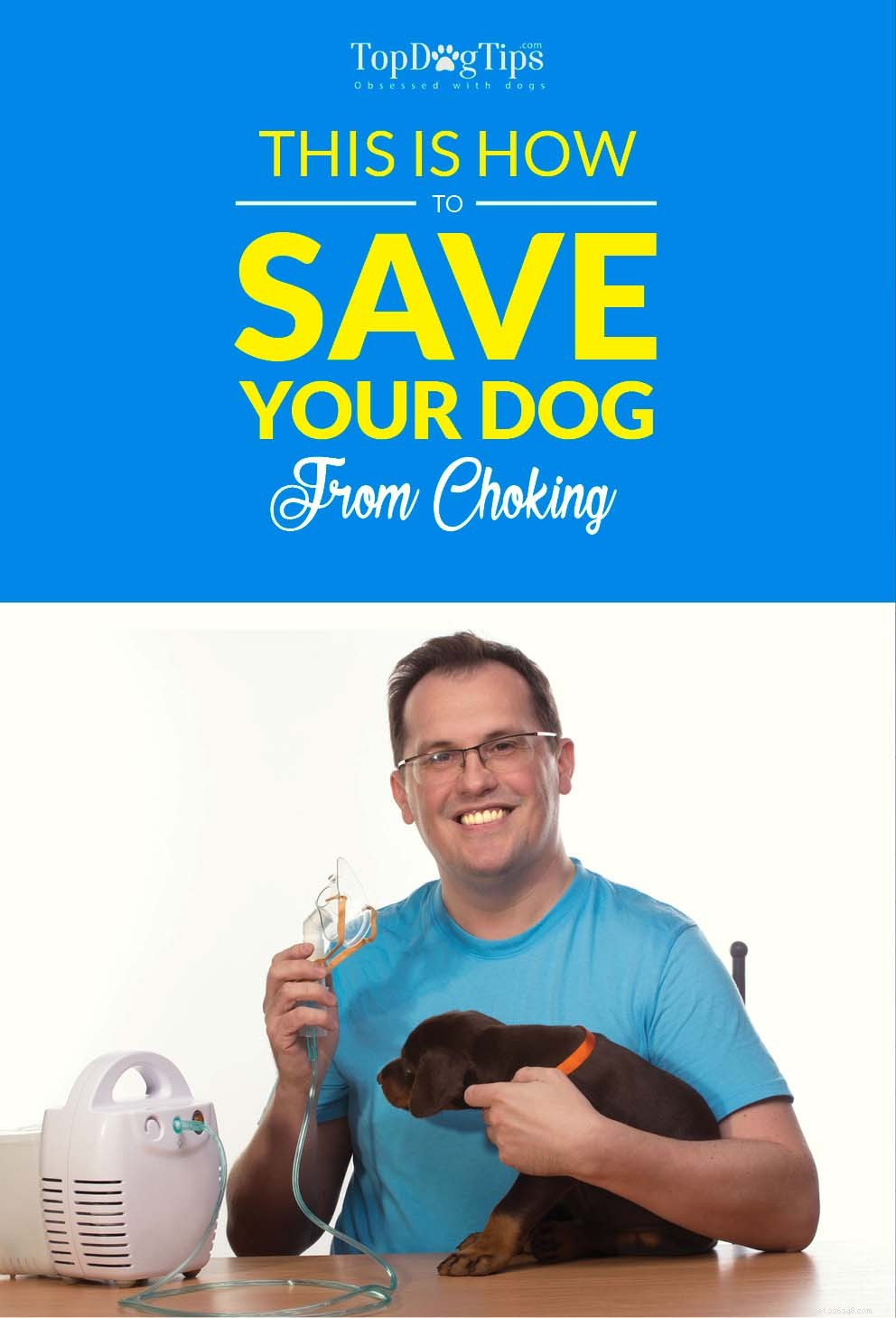 Como salvar seu cachorro de engasgar