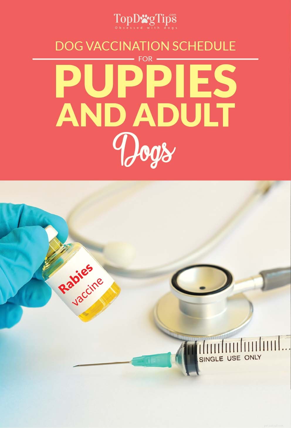犬の予防接種スケジュール（および子犬に必要なショット） 