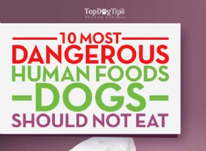 犬が食べてはならない食品：犬にとって危険な10の人間の食品 