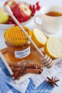 6 utilisations et bienfaits du miel pour les chiens