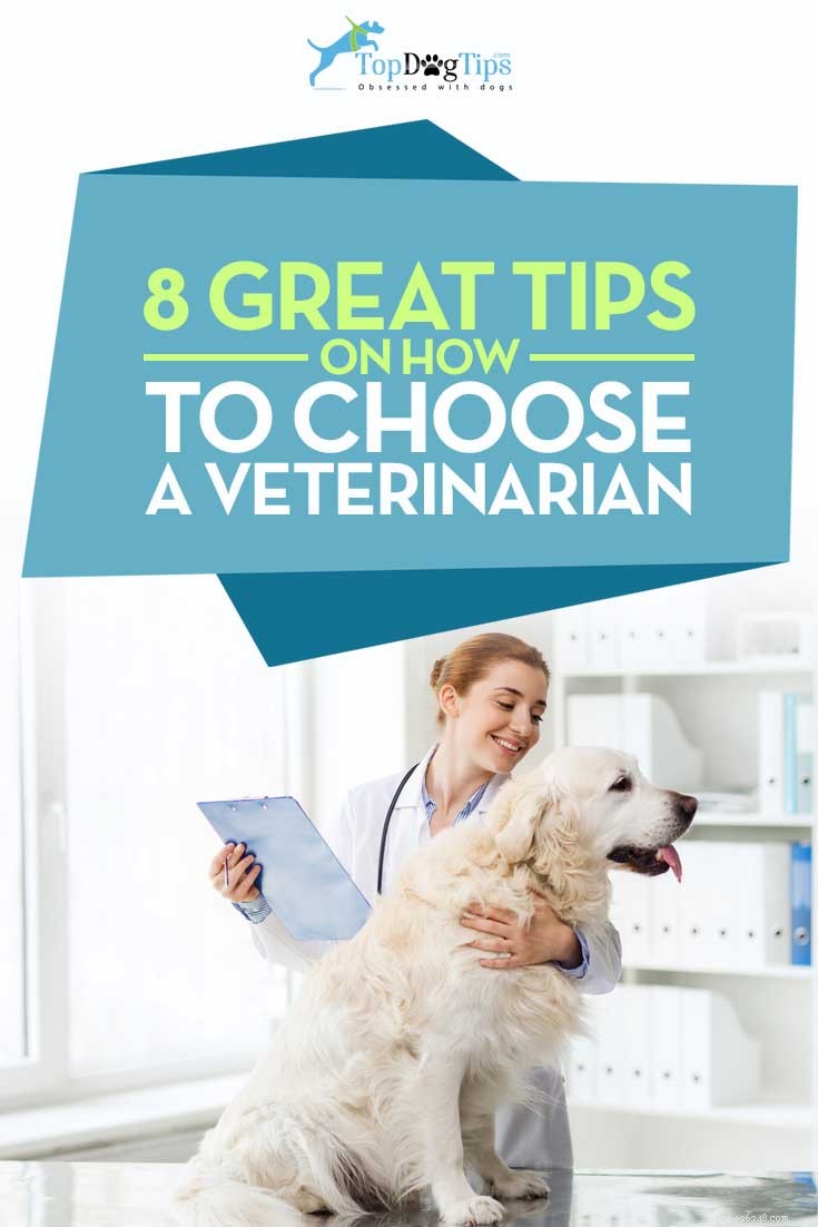 Recapitulação de domingo:8 recursos para escolher o melhor veterinário