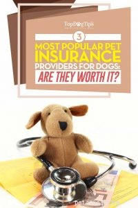 3 leverantörer av bästa husdjursförsäkringar för hundar