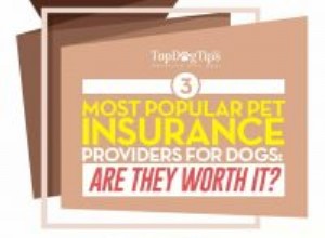 3 poskytovatelé nejlepších plánů pojištění domácích mazlíčků pro psy