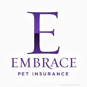 犬のための最高のペット保険プランの3つのプロバイダー 