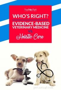 Qui a raison ? Médecine vétérinaire fondée sur des preuves (EBVM) vs médecine vétérinaire holistique