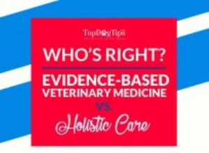 Quem está certo? Medicina Veterinária Baseada em Evidências (EBVM) x Medicina Veterinária Holística