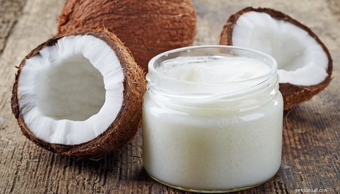 12 zdravotních přínosů kokosového oleje pro psy