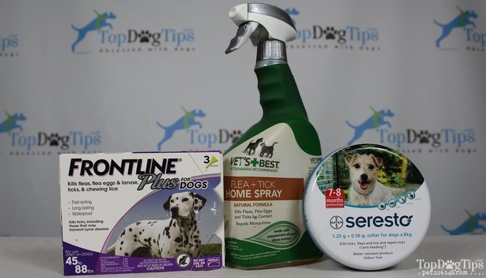 3 melhores tratamentos de pulgas e carrapatos para cães comparados:linha de frente x Seresto x melhor veterinário