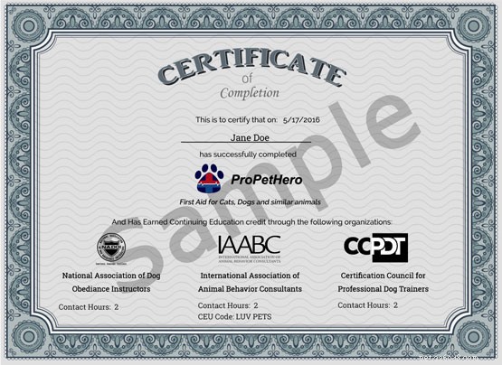 Обзор:онлайн-курс по оказанию первой помощи собаке Pro Pet Hero