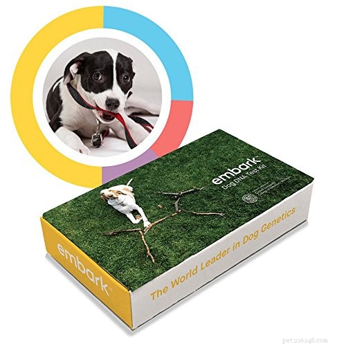Revue :Kit de test ADN pour chien Embark