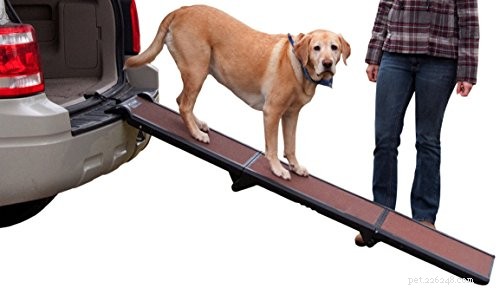 Come aiutare un cane a salire su un letto o in macchina e a gestire l altezza