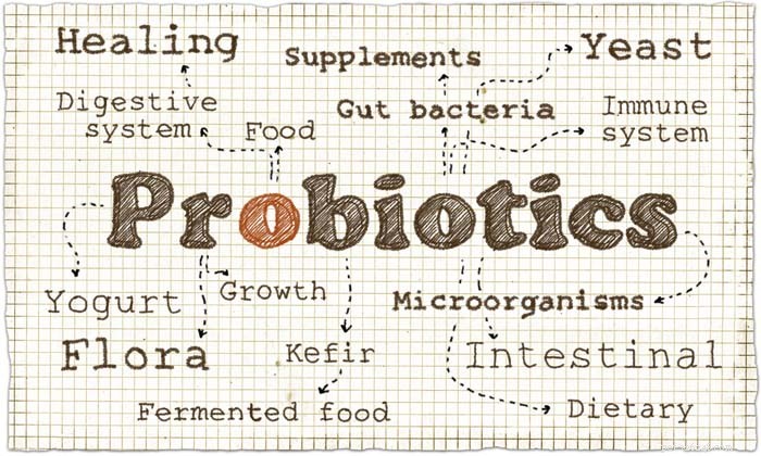 Vilka är de bästa probiotika för hundar och behöver våra husdjur dem?