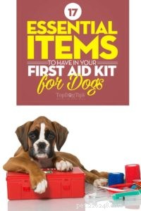 17 essentiële items om in uw EHBO-kit voor honden te hebben