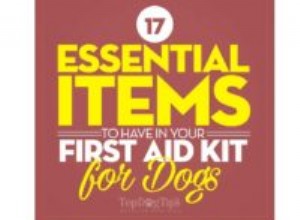 17 základních věcí, které musíte mít ve své lékárničce pro psy