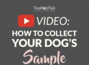 犬から尿サンプルを収集する方法 