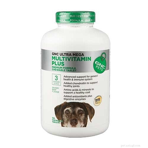 7 suplementos veterinários recomendados para cães