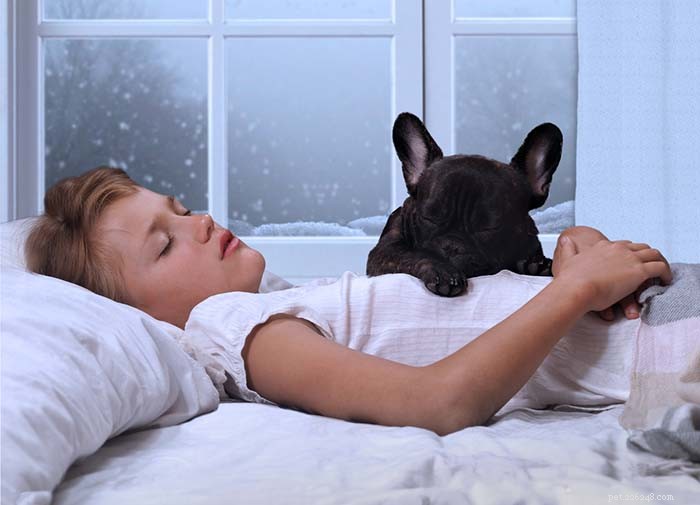 Waarom slapen honden meer in de winter?