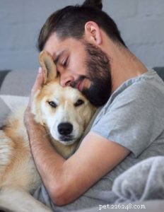 7 beprövade sätt att lugna ner en hund (med stöd av vetenskap)