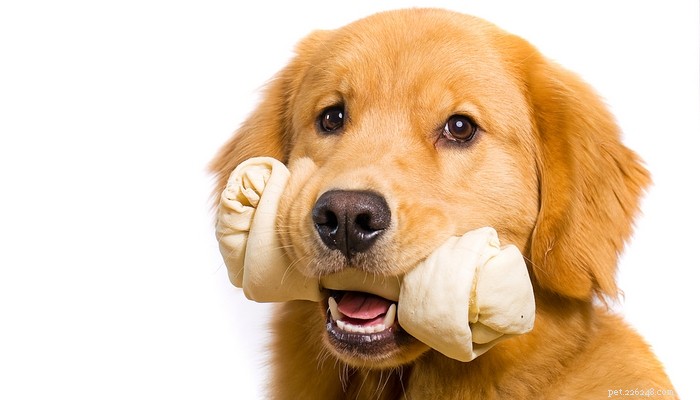 Os petiscos de couro cru são seguros para cães?