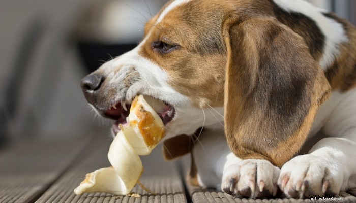 Gli snack per cani Rawhide sono sicuri per i cani?