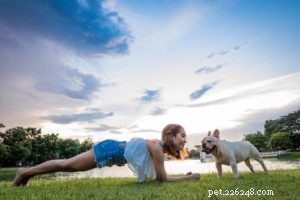 7 maneiras de transformar atividades diárias em exercícios para seu cão
