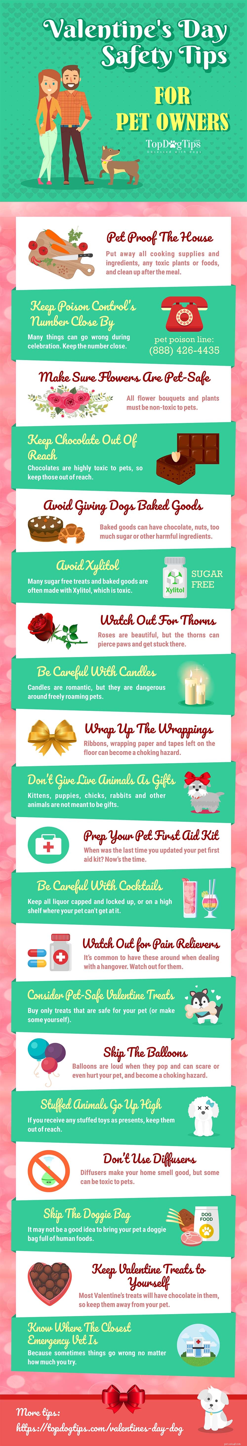 20 dicas de segurança para o Dia dos Namorados para donos de animais de estimação [Infográfico]