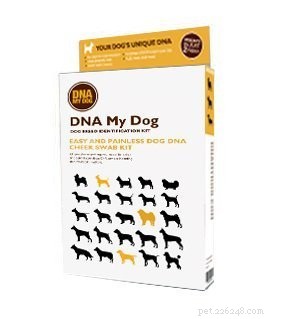 Guida veterinaria sui test del DNA per cani