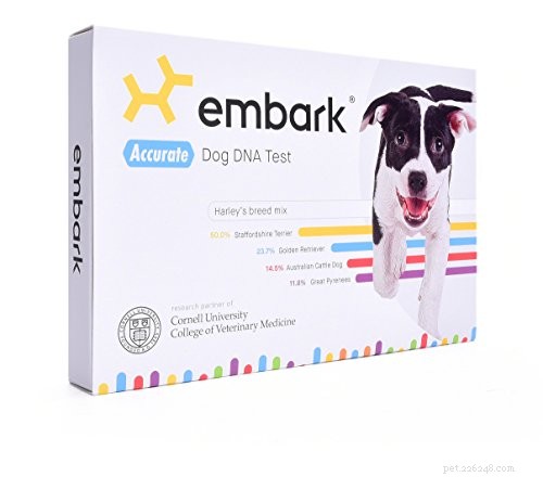 犬のDNA検査に関する獣医ガイド 