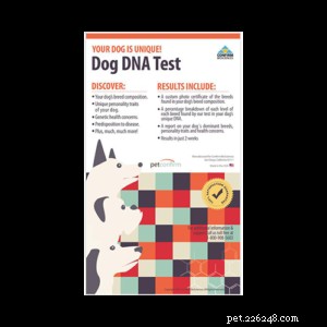 Veterinární příručka o testech DNA pro psy