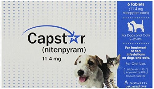 Guia do veterinário sobre pílulas antipulgas para cães