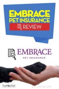 Embrace Pet Insurance Review:혜택, 보장, 비용 및 전반적인 가치