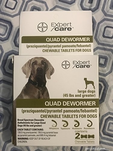 A Vet s Guide to Dewormers for Dogs:The What, Why and When