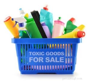 7 toxines cachées dans votre maison qui sont toxiques ou cancéreuses pour les chiens