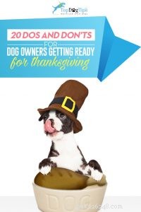 犬との感謝祭：ペットの飼い主のための20のすべきこととすべきでないこと 