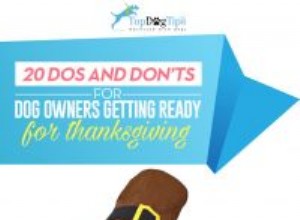 Díkůvzdání se psy:20 věcí, které můžete udělat a co nedělat pro majitele domácích mazlíčků