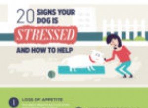 深刻な不安を抱えている犬を認識して助ける方法 